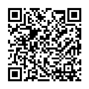 没想到自己随便打趣的话竟然把这群明星给难住了二维码生成