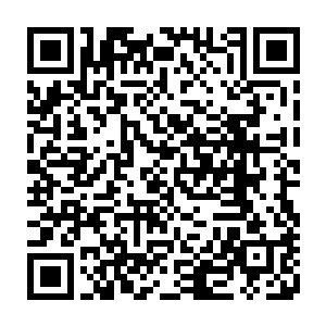 没想到谷家的那个长老居然会成为在浑天宝球内第一个被干掉的人族骑士二维码生成