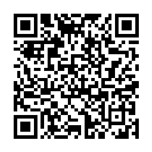 没想到辰海掌教竟然也是当年围攻赤炎天龙帝的凶手之一二维码生成