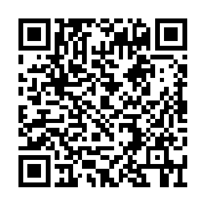 没想到还是诞生了镇悬修罗这样强大的家伙……二维码生成