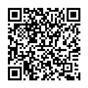 没想到这一切就在短短几秒钟之间就被证明不过是一个虚幻二维码生成
