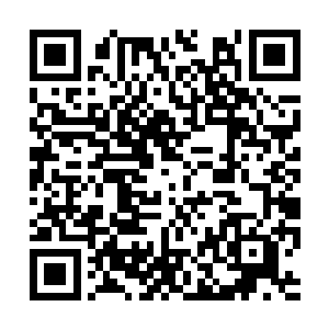 没想到这不灭圣经修炼出来的不灭圣力是有数量的二维码生成