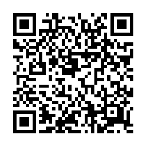 没想到这个其貌不扬的小丫头还是个名校毕业的高材生二维码生成