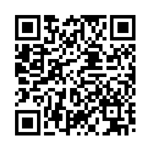 没想到这个小家伙这么快就出生了二维码生成