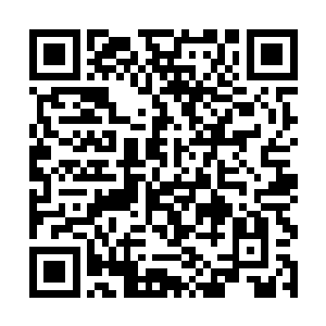 没想到这些匪寇竟然早就布下陷阱虐杀经过的玩家了二维码生成