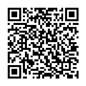 没想到这几人体内竟然都有圣王强者留下的结界之力二维码生成
