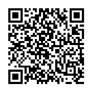 没想到这片大陆上的无角人竟然已经有突破十级的神血战士出现二维码生成