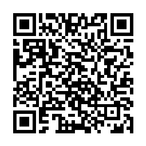 没想到那两个家伙是为了给老大创造办好事儿的机hui二维码生成