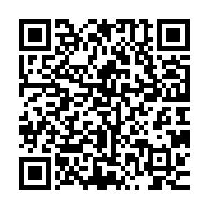 没想到那些本地人一看又出来一个华夏国医生给自己的同胞治病二维码生成