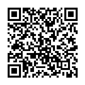 没想到那位大人把手都伸到西北的庞博之海沿岸来了二维码生成