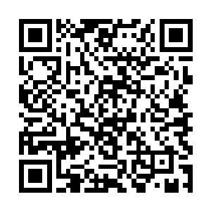 没想到钱老爷子竟然给他们送来这么年轻的一个家伙二维码生成
