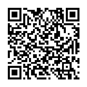 没想到雪之境地这样酷寒的地方还有一片世外桃源二维码生成