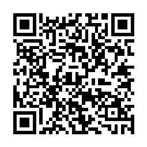 没有一个人产生十道魂影不是说没人有这样的天赋二维码生成