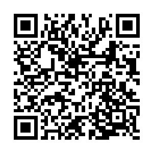 没有不能逆推……叶青知道逆推需要精确原理体系二维码生成