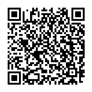 没有丝毫的迟疑一个弯身捡起地上的石头狠狠的向那块凹陷砸了过去二维码生成