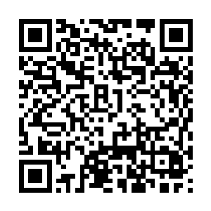 没有主宰的灵魂力和灵魂控制强度是绝对不可能的二维码生成