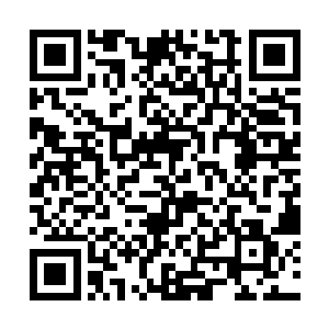 没有人会再把梅斯菲尔德家族当做一个底层的小名门二维码生成