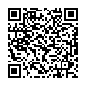 没有人会资助你……现在我真是感激叶青击败了你二维码生成