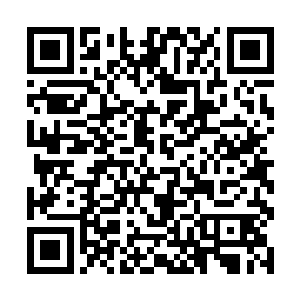 没有人再担心雨果的金酸莓奖是不是阻挡了他的前程二维码生成