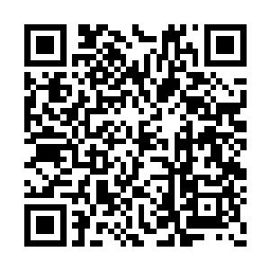 没有人敢随意将精神力和真元注入到神梦之光中二维码生成