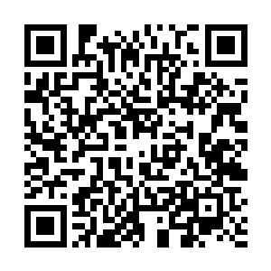 没有人比他更熟悉片子里所应该充斥的那种张力和感情二维码生成