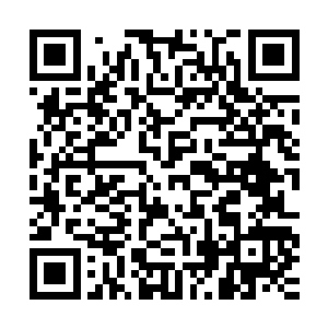 没有人比她更了解沈婉瑜在才艺这方面根本就没有拿出手的东西二维码生成