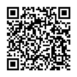 没有人知道慕容轻这一刻多么感谢曲承泽和夜染几人二维码生成