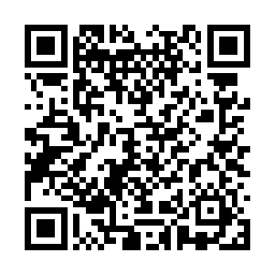 没有人能完全说出来这场灾难带给灵武大陆的损失二维码生成