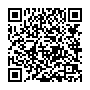 没有什么别的话比夏天此时的话更让队伍士气变高的了二维码生成