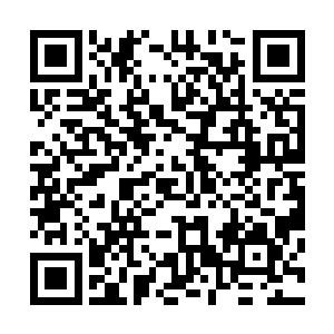 没有什么好争的了…………要不是你一心要当的是那个奚帝二维码生成