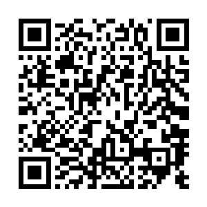 没有什么比有一个比自己年龄还大的师弟还有意思的事情了二维码生成