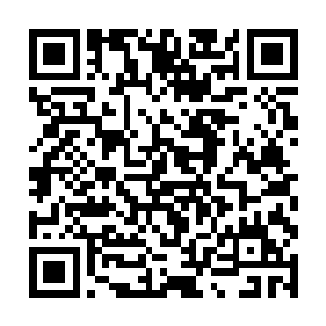 没有任何一位霸主能够容许如兄弟会一般的巨大威胁二维码生成