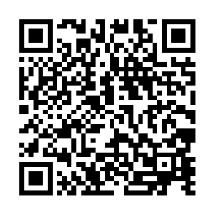 没有任何才能没有任何特长让他注定只能是一个普通人二维码生成