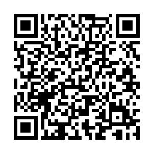 没有任何犹豫的朝着阿诺德的中指再一次踩了下去二维码生成