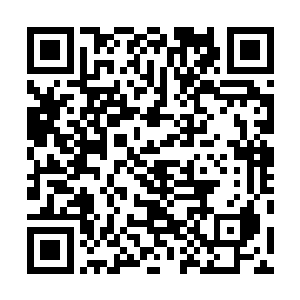 没有任何问题就好像当初的刁泳二人进入其中都没事一样二维码生成