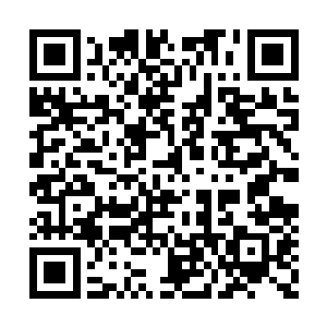 没有哪一个需要他们施展出七星圣级巅峰的力量二维码生成