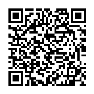 没有哪个骨器师会傻到把自己的骨器交给无角人演示二维码生成