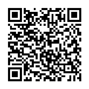 没有因为诸多神元界高手出现而感到一丝一毫的慌乱二维码生成