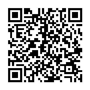 没有在乎那道冰冷的复杂的目光有意无意停留在自己的身上二维码生成