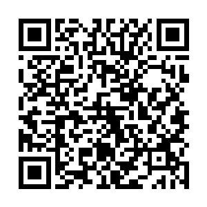 没有想到这尚尊通过魔主的投影还真是领悟了体内空间二维码生成