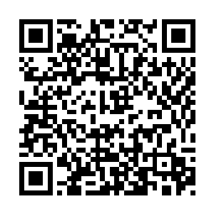 没有料到方家今天一大早又组织人围了沙州市委二维码生成