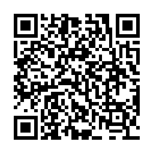 没有树木的阻挡对于龙傲天来说想要抓它还是很容易的二维码生成