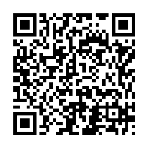 没有留守应州……可惜等到真正地仙才可多招分身二维码生成