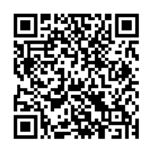 没有能够达到仙尊层次就意味着如果外界真的和诸天百界打通了二维码生成