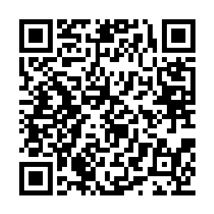 没有让这几个家伙也尝一尝被人轻易击败的滋味二维码生成