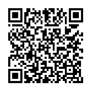 没有诅咒也没有意志检定……是我胆子变小了么二维码生成