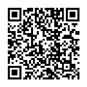 没有跟着我笑成一团反而是满眼疑惑担忧的瞧着我二维码生成