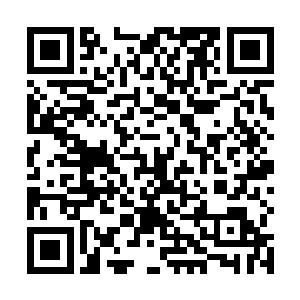 没有那个脑子正常的人会跟致命病毒去较劲去争强斗狠二维码生成