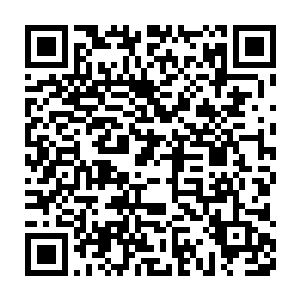 没法把无亲无故还昏迷不醒没有自保能力的金丝雀琴瑟色就那么丢下二维码生成