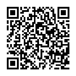 没看见你父皇已经同意按照咱们提出的裁判法子进行裁判了吗二维码生成